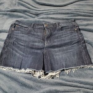 American Eagle Outfitters Dark Blue Jean Shorts
